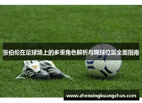 张伯伦在足球场上的多重角色解析与踢球位置全面指南