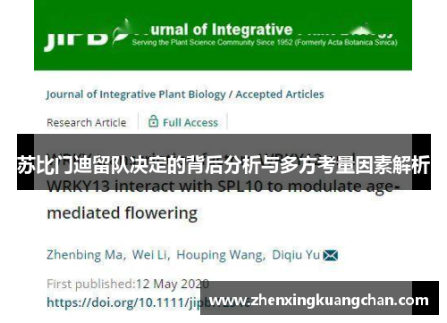 苏比门迪留队决定的背后分析与多方考量因素解析