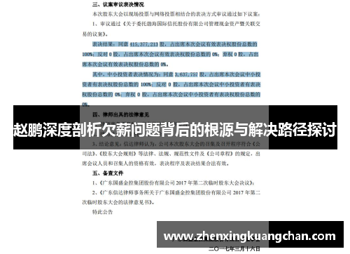 赵鹏深度剖析欠薪问题背后的根源与解决路径探讨